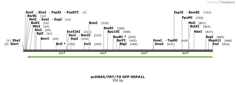 159599_map