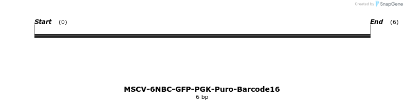 159819_map