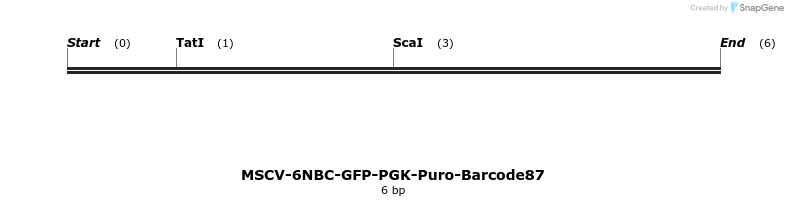 159961_map