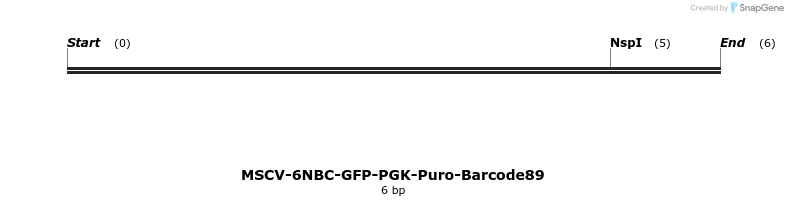 159965_map