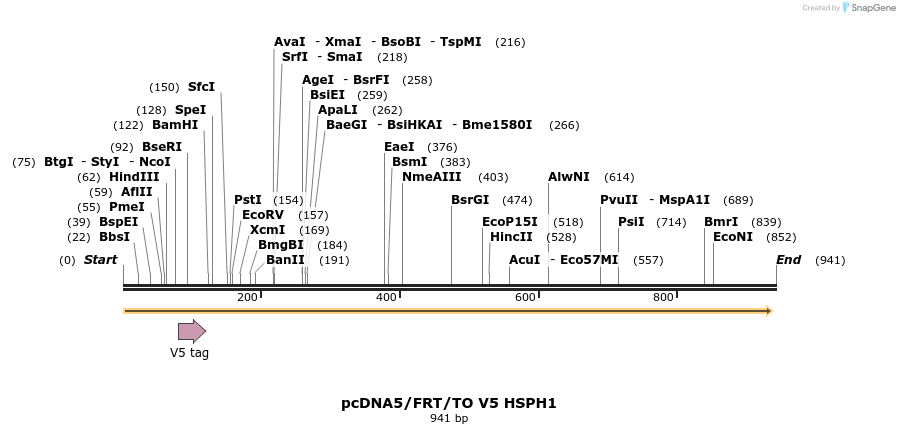159985_map