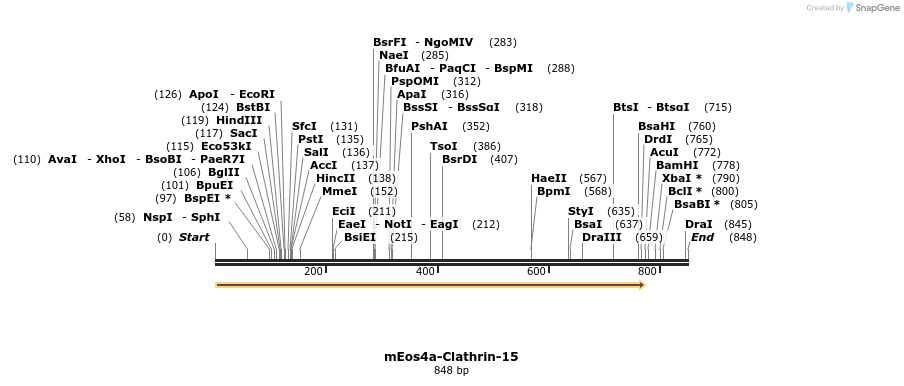 159989_map