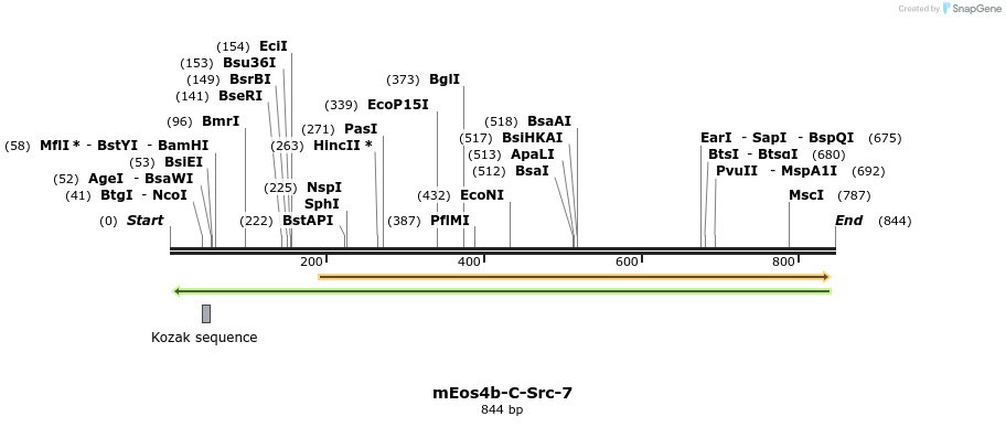 159992_map