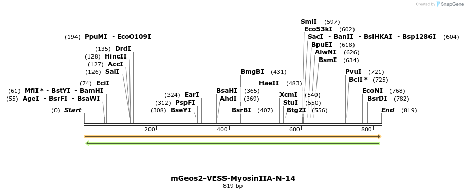159998_map