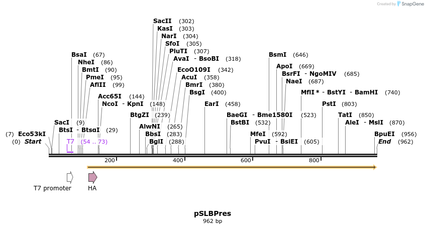 160004_map