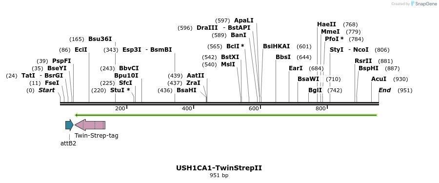 160011_map