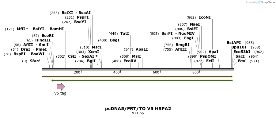 160025_map