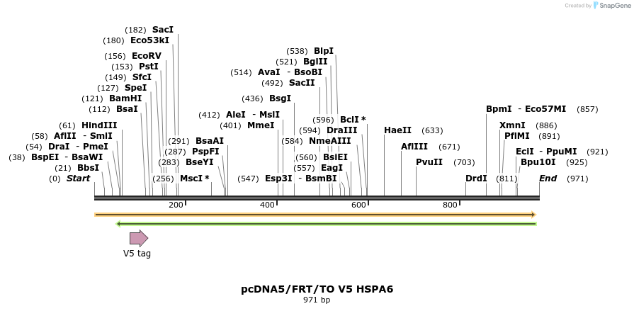 160038_map