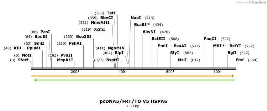 160039_map