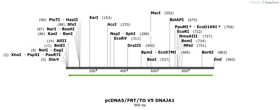 160046_map