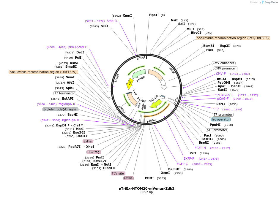 160052_map