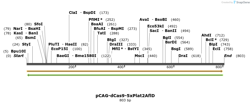 160065_map