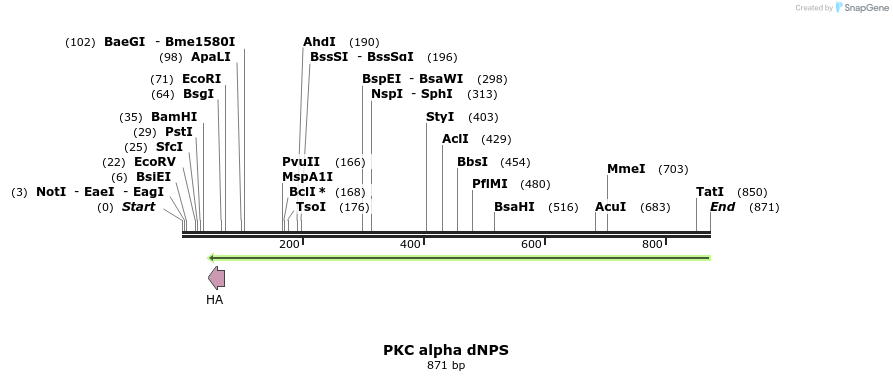 160085_map