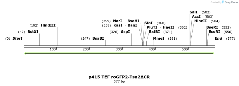 160095_map