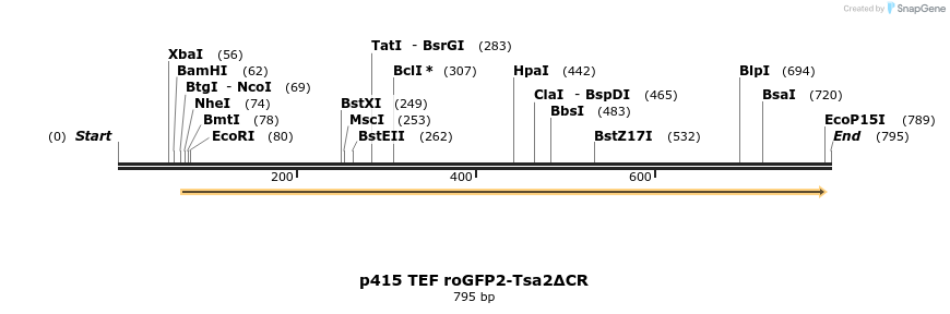 160096_map