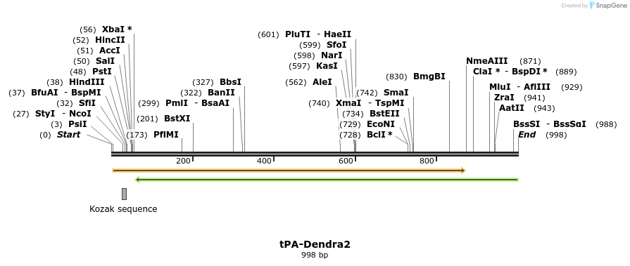 160103_map