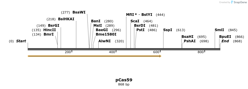 160115_map