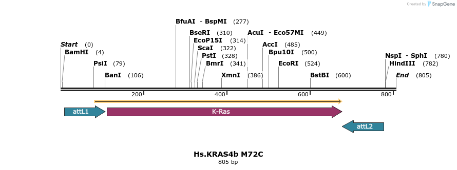 160131_map