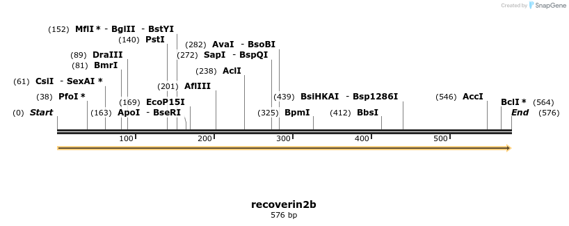 160132_map