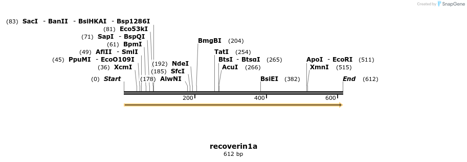 160138_map