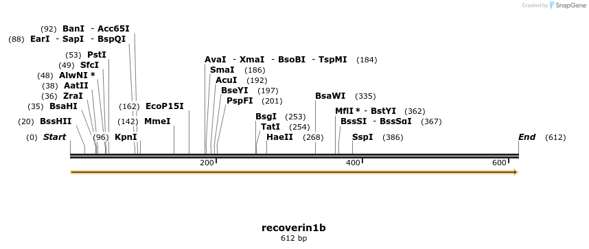 160140_map