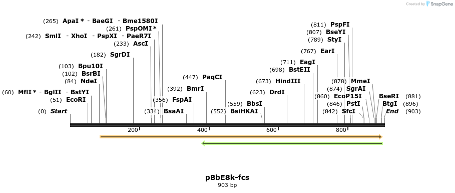160141_map