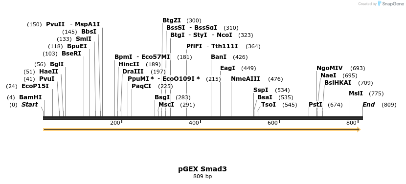 160143_map