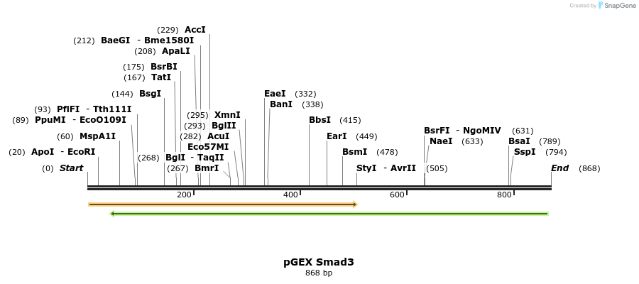 160144_map