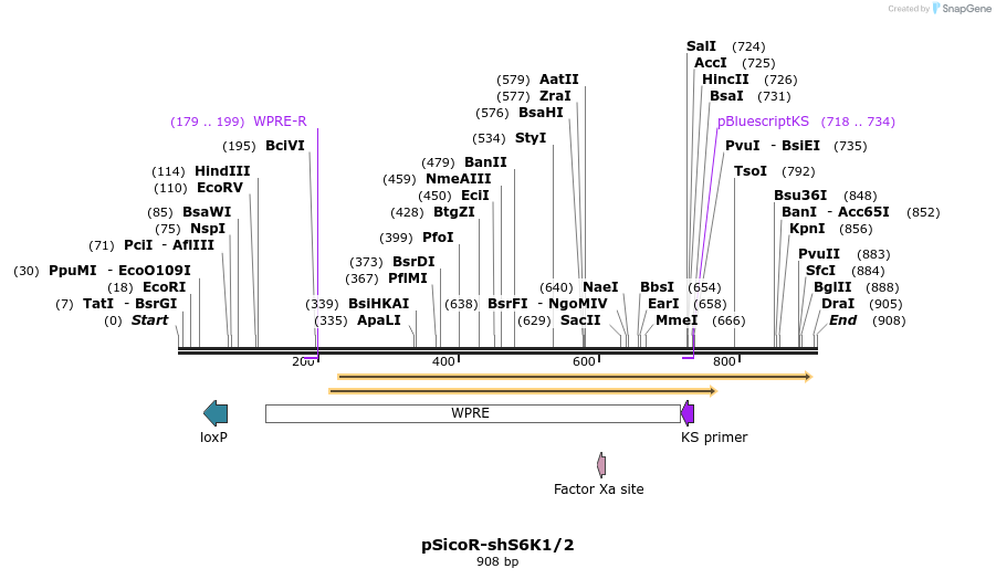 160147_map