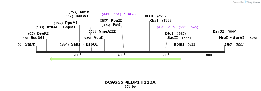 160151_map