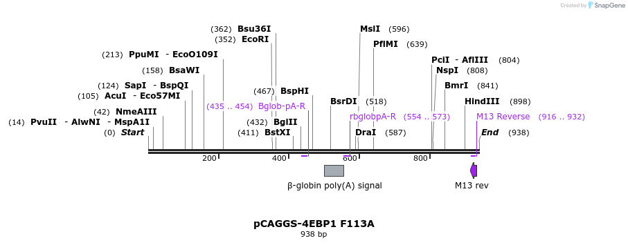 160152_map