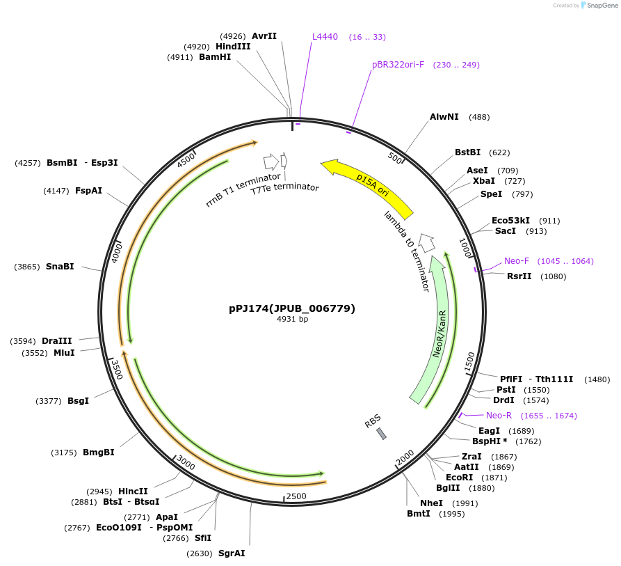 160154_map