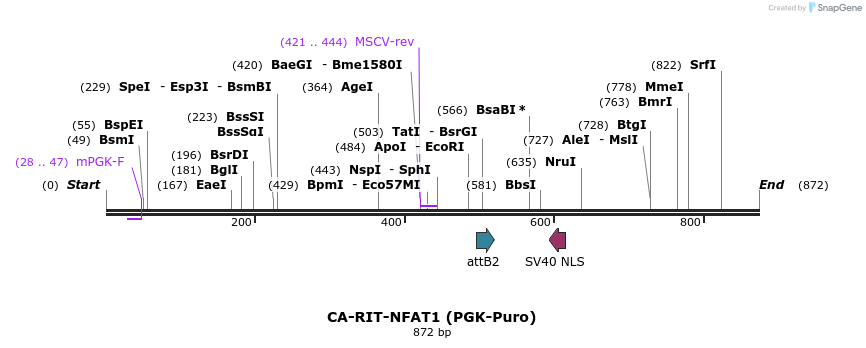 160155_map
