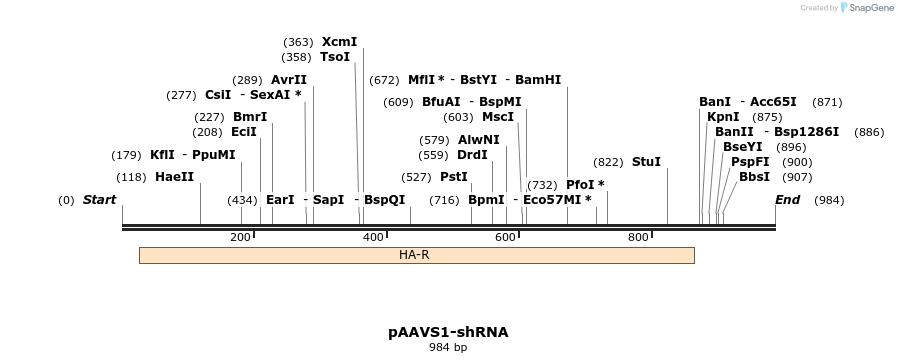 160156_map