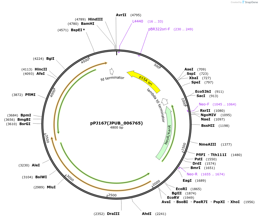 160158_map