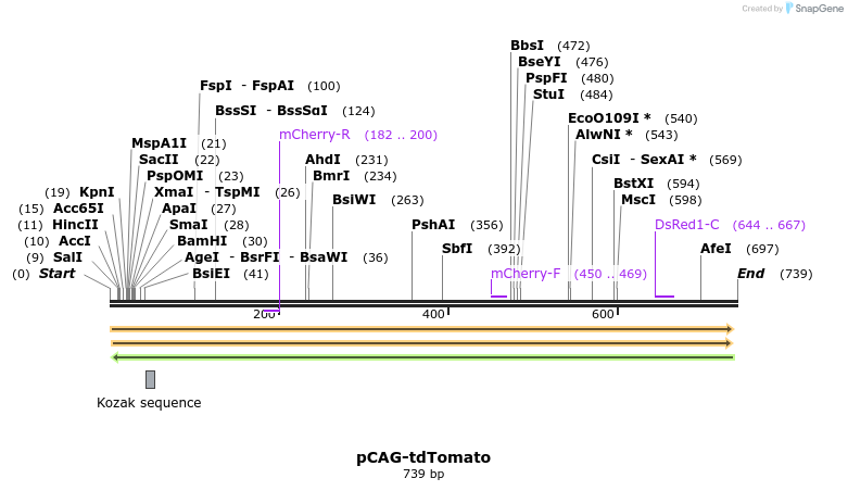 160166_map
