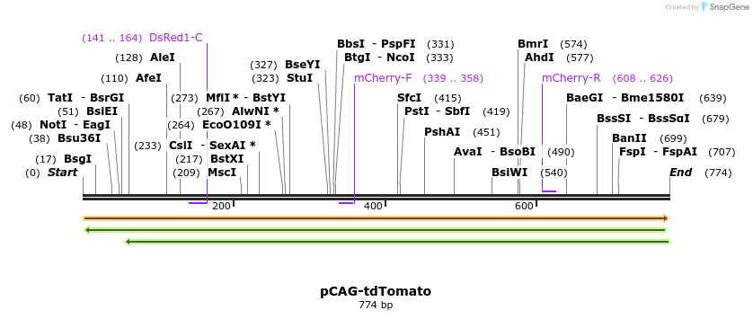 160167_map