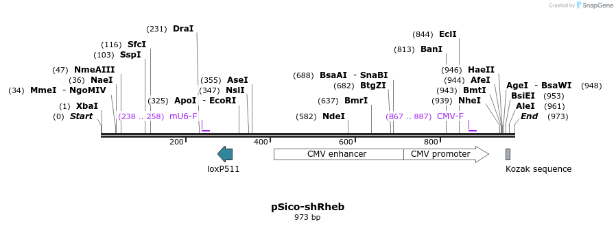 160174_map