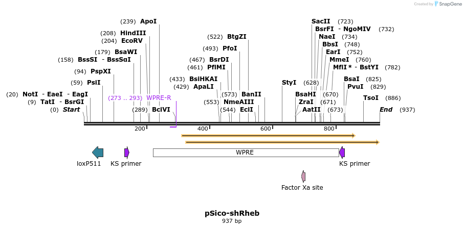 160178_map