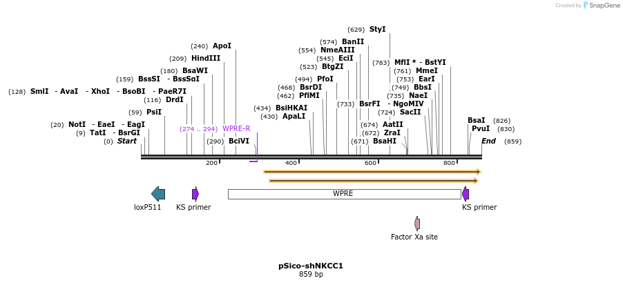 160189_map