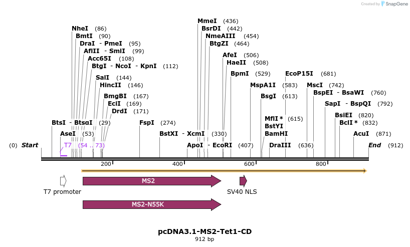 160193_map