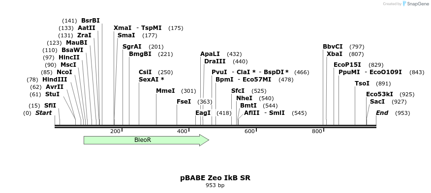 160194_map