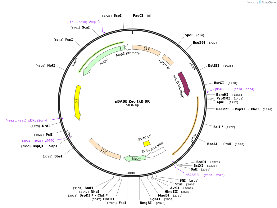 160195_map