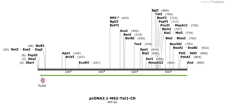 160196_map