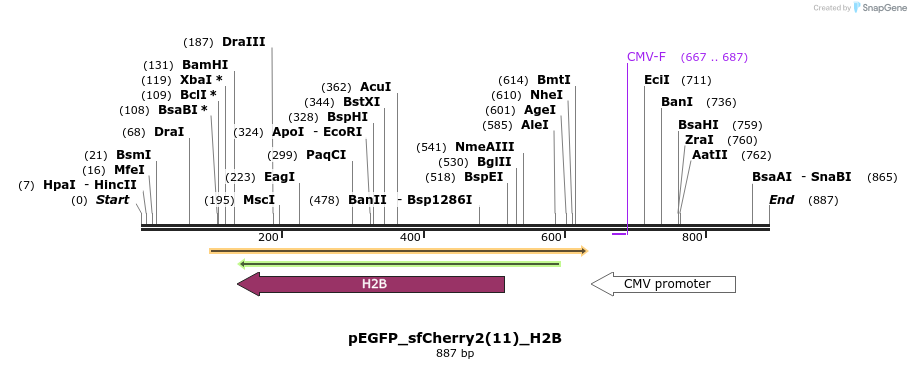 160198_map