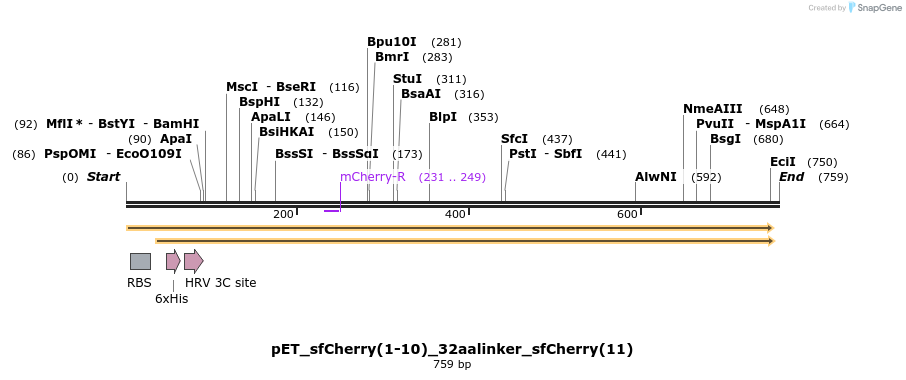 160203_map