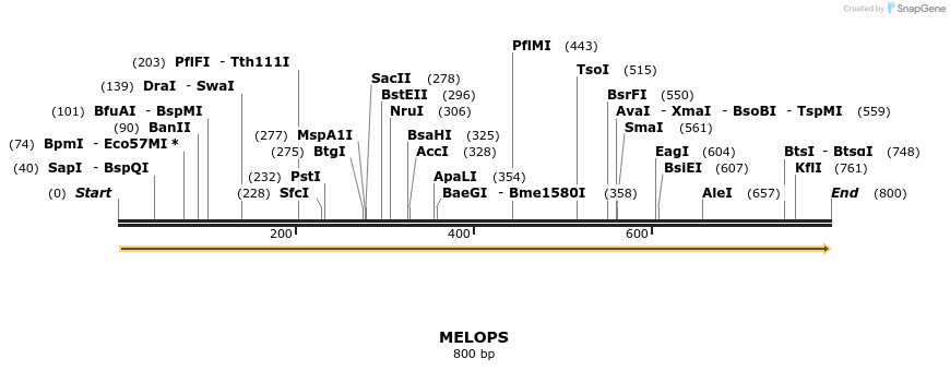 160230_map