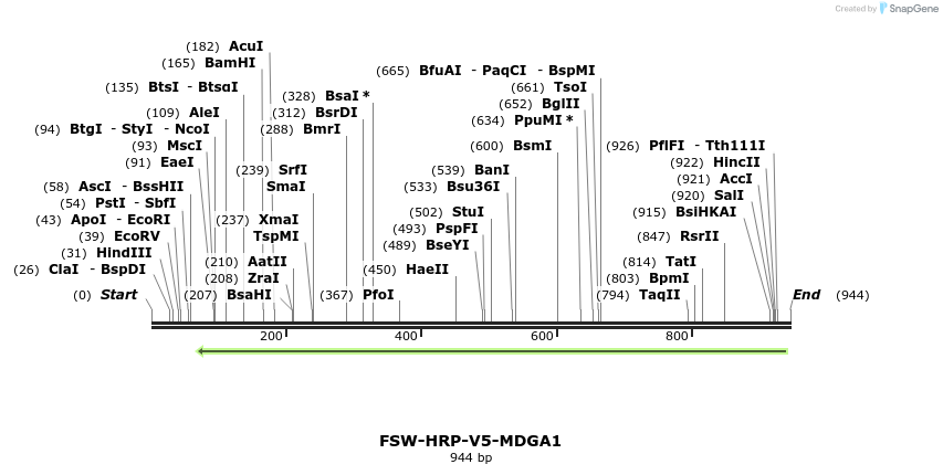 160244_map