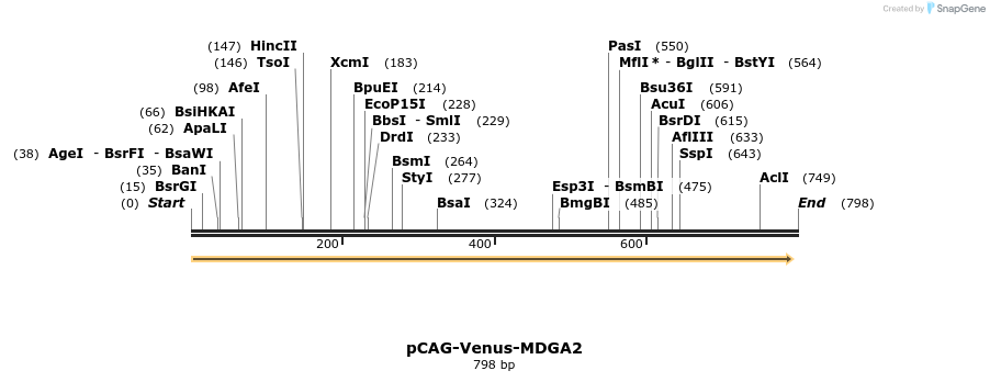 160246_map