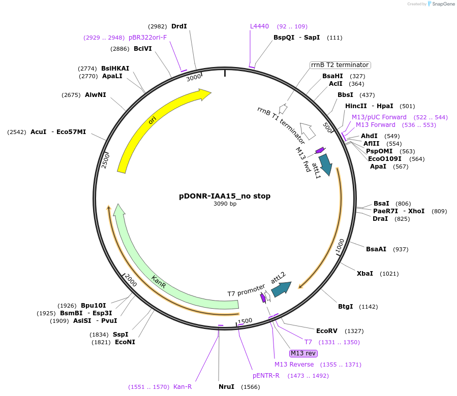 160256_map